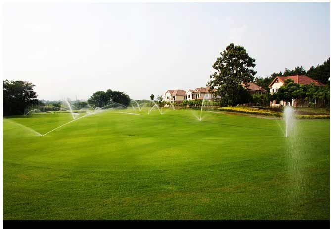 x东XX**高尔夫花园